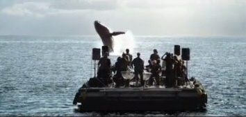 Photo Chant des baleines